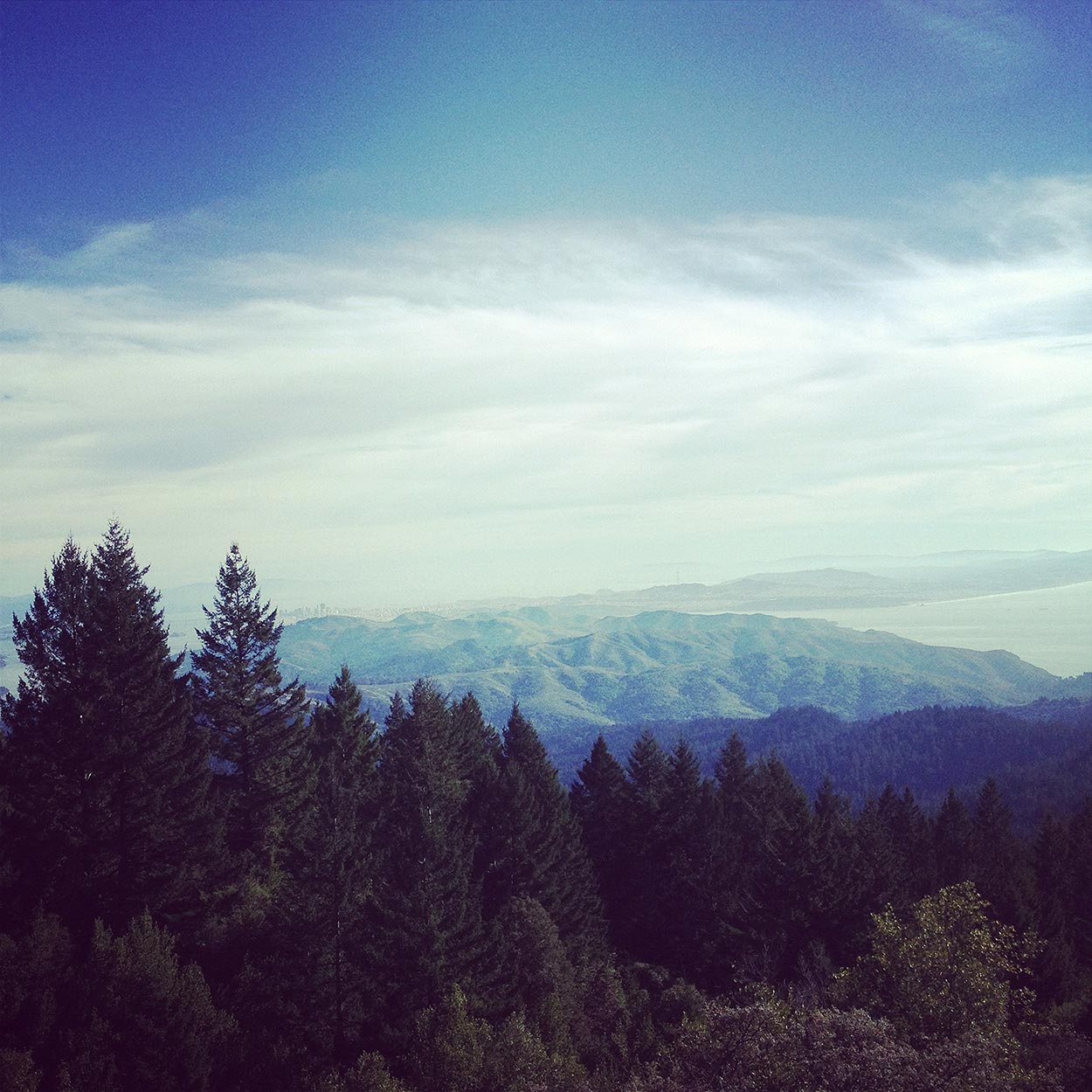 Guided tour of the Aspromonte National Park